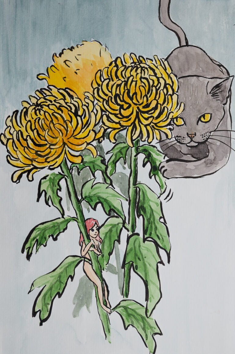Cat Play in the Chrysanthemums by Sung Lee