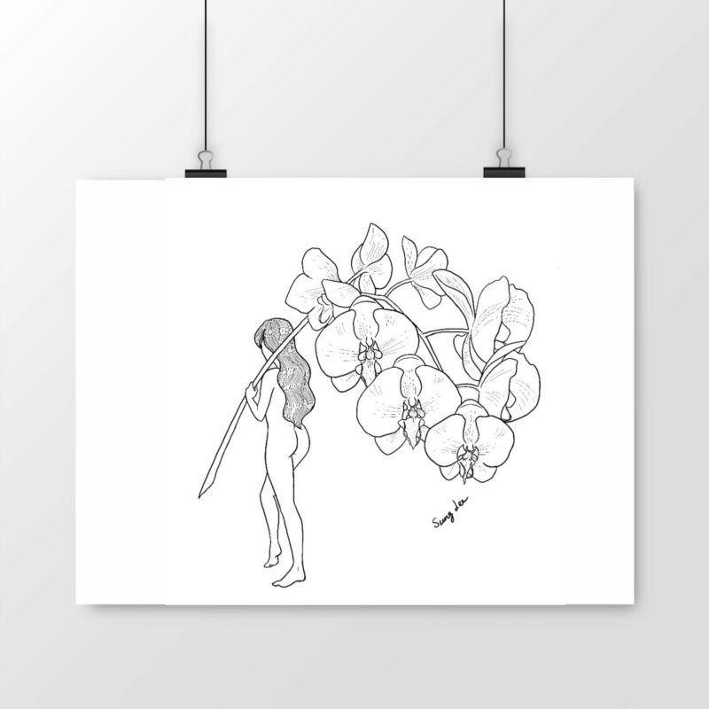 Orchids Poster